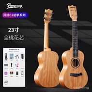 Veneer Ukulele Beginner Student Adult Female Male Ukulele Small Guitar IntroductionUkulele VAYT