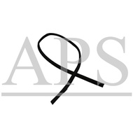 PERODUA KANCIL ROOF DRIFT MOULDING (LONG / CENTER)