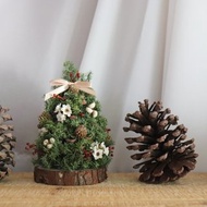 - 手工松果聖誕樹 - 乾燥花 松果 聖誕擺飾 聖誕交換禮物 (三款)