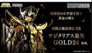 魂 會埸 限定 聖衣神話 聖鬥士星矢 24k 星矢 人馬 射手 日版