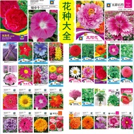 Plant Flower Seeds Courtyard Balcony Planting Potted Plant Rose Cosmos Bag Outdoor Easy-to-Live Hydr