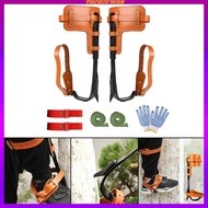 [Tachiuwa2] Tree Climbing with Gloves Straps Tree Climbing Equipment Tree Spikes Tree Gripper for Climbing Trees Cutting Tree Camping