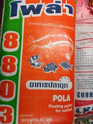 อาหารปลาดุกใหญ่ โพล่า8803 กระสอบละ 20กก.