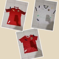 Jersey austria home/away 2016,2024