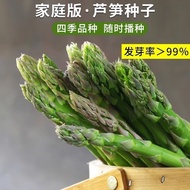 Four Seasons Selected Tender Green Asparagus Seeds Family Balcony Potted Plants Selected Vegetables 