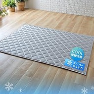 Iris Plaza Silk Touch Rug, Silky Smooth, Cool to Touch, Stylish, Glossy, Cool, Smooth, 51.2 x 72.8 i