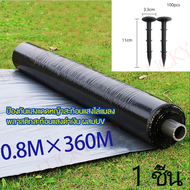 *ค่าส่งถูก* พลาสติกคลุมดิน 0.8ม.x400หลา(360ม) พลาสติกคลุมแปลง พลาสติกดำเงิน พลาสติกกันวัชพืช กันวัชพ