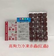 台中阿永-日本(Hikari)高夠力-UV冷凍無菌赤蟲(紅蟲)24小塊/片(100g)**需冷凍寄送**