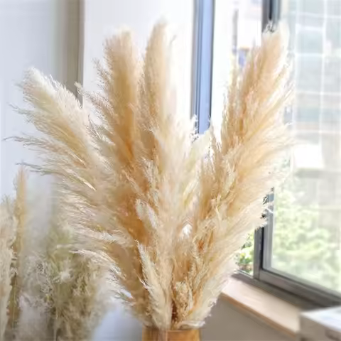 80-120cm Tall Pampas Grass,Fluffy,Large Natural Dried Flowers Bouquet,Boho Home Decor,Gift,Country W