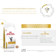 Royal Canin | อาหารแมวสุขภาพทางเดินปัสสาวะ