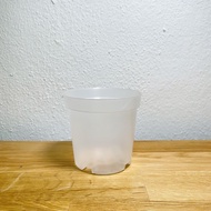 90mm 100mm 110mm Transparent Plant Pot | Propagation Clear Plant Pot | Aroid Plant Pot
