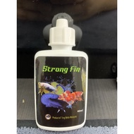 Strong Fin by Ting Betta Malaysia