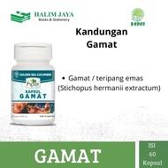 SUPER MURAH Gamat Kapsul HNI HPAI Mengatasi Sakit Pinggang Suplemen