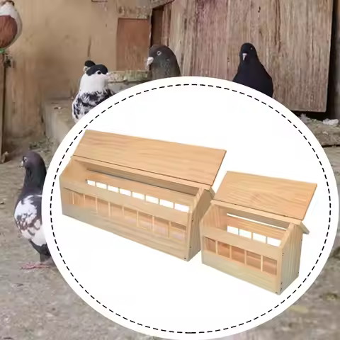 Wooden Pigeon Feeder Wood,Less Waste,Poultry Trough Dish,Bird Feeding Bowl Food Dispenser for Duckli