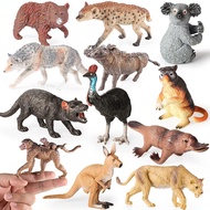 6pcs Classic Australian Africa Wild Animals Kangaroos Koala Cassowary Hyena Warthog Model Action Fig