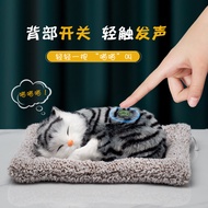 Girls Birthday Gifts 12 Years Old Ten Years Old 7 Years Old 8 Years Old 13 Years Old Over 11 Years O