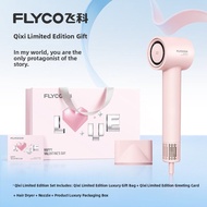 FLYCO | High Speed Ion Hair Dryer