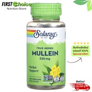 ลอตผลิตใหม่! Exp.10/2027, Solaray, Mullein, 330 mg, 100 VegCaps