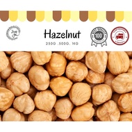 Premium Whole Hazelnut - no skin (Raw) [Turkey] 榛子