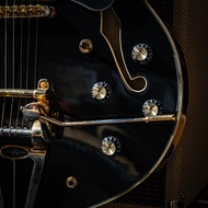 Sire Larry Carlton H7T กีตาร์ไฟฟ้า ประกันศูนย์ Music Arms