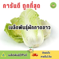 ถูกที่สุด เมล็ดพันธุ์ผักกาดขาว บรรจุ 1000 เมล็ด