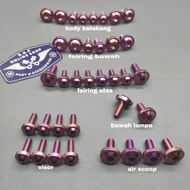 Full body bolt kawasaki ninja RR old ZX 150 original probolt titanium GR5 vietnam