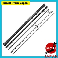Noeby Travel Shore Jigging Rod 2.9m 5pcs Fuji Guide Spinning Sea Fishing Rod Lure Weight 80g [Import