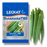 🔥NEW STOCK🔥 Paket 200g INDIAN OCEAN 535 Leckat Biji Benih Kacang Bendi F1 Hybrid Green Okra Seeds La