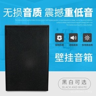 Music Ceiling Shop B-916A Background Set Wall-Mounted Radio Restaurant Speaker Speaker Audio Indoor 