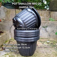 (6pc) SHALLOM MIO 20 (19cm): round flower pot with nice ears, starfruit pot, ear pot (ENAM)