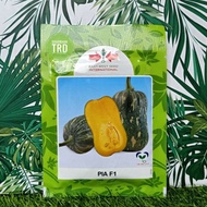 Paket 20g PIA F1 Biji Benih Labu Butternut F1 Hybrid Pumpkin Butternut Squash Shaped Seeds East West
