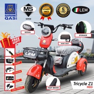 ★LEM★ electric tricycle scooter adult 800w new mini family car