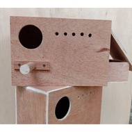 Nestbox Burung Cockateil / Sun Conure / Kotak Burung Bertelur