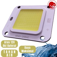 COB LED 30W 50W 12V - 14V DC Aki Baterai - Chip LED 12 Volt - Mata LED 12V 30 Watt 50 Watt