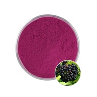 Bulk Natural Pure Anthocyanin Powder Maqui Berry Extract 5% Anthocyanins
