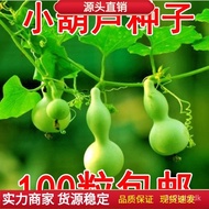 Vegetable Seeds Spring and Autumn Fruit Seeds Luffa Melon Cucumber Melon Pumpkin Squash Seeds Watermelon Fruit