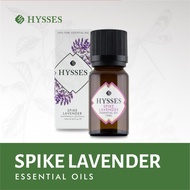 Hysses Spike Lavender Essential Oil