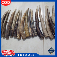 Pipa rokok Once Tanduk Rusa Hutan Asli lubang Multi