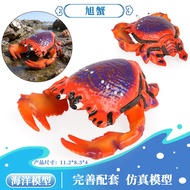 Simulation Solid Sea Animal Model Crab Shuttle Crab Three-point Crab Asahi Crab King Crab Children's