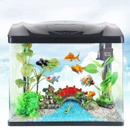 Table Top Fish Tank Set Aquarium HD glass Mini small creative turtle jar ornamental landscape fish tank Best Selling Styles