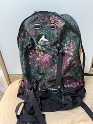 Gregory Backpack 背包背囊