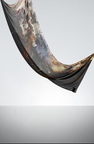 Discord Yohji Yamamoto 山本耀司 - 絲綢 印花圍巾 絲巾 配件 中性 真絲 長圍巾 披肩 圍脖