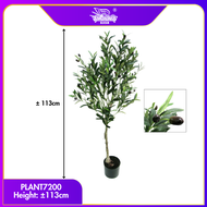 PREMIUM POKOK HIASAN VIRAL / OLIVE TREE / POKOK OLIVE / ARTIFICIAL PLANT / PLANT7200-7239