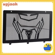 Motorcycle Radiator for 250CLX Motorcycle Accessories