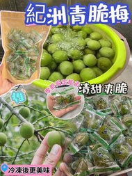 紀州-青脆梅 454克