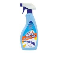 Mr. Muscle Easy Ironing Floral Bouquet/Baby Fresh 500ml