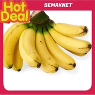 Anak Pokok Pisang Berangan/Banana Plant