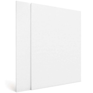 4 A4 size Canvas Panels