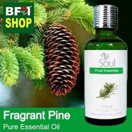 Pure Essential Oil (EO) - Pine - Fragrant Pine Essential Oil - 50ml