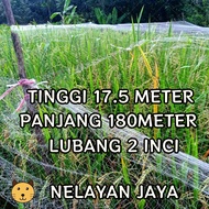 0.20MM 2 INCH NET 17.5X180M BIRD NET/ BIRD NET NET RICE PROTECTION NET/ 350X200YOKO
